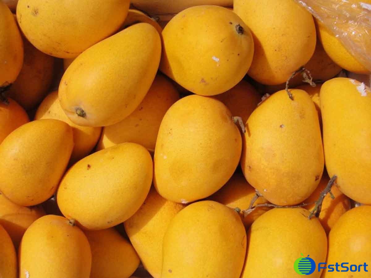 images/1660895248655Clasificador de mango1.jpg